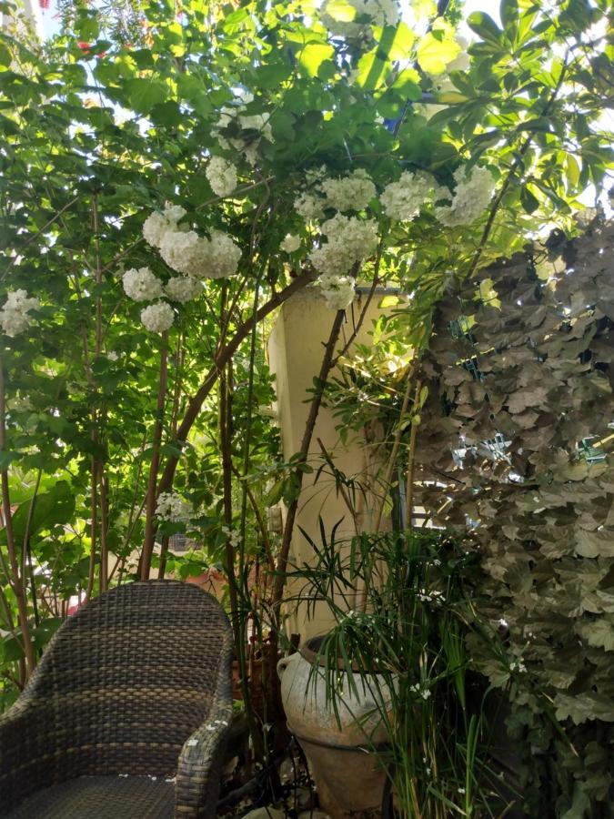 My Sunny Low Home 帕特雷 外观 照片