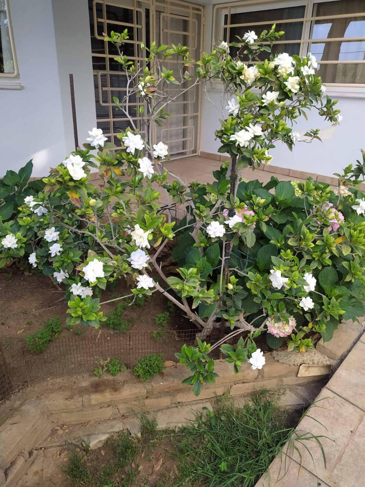 My Sunny Low Home 帕特雷 外观 照片